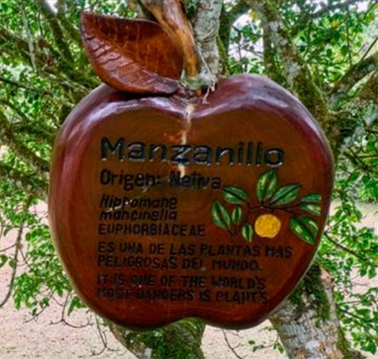 cartel aviso manzanillo