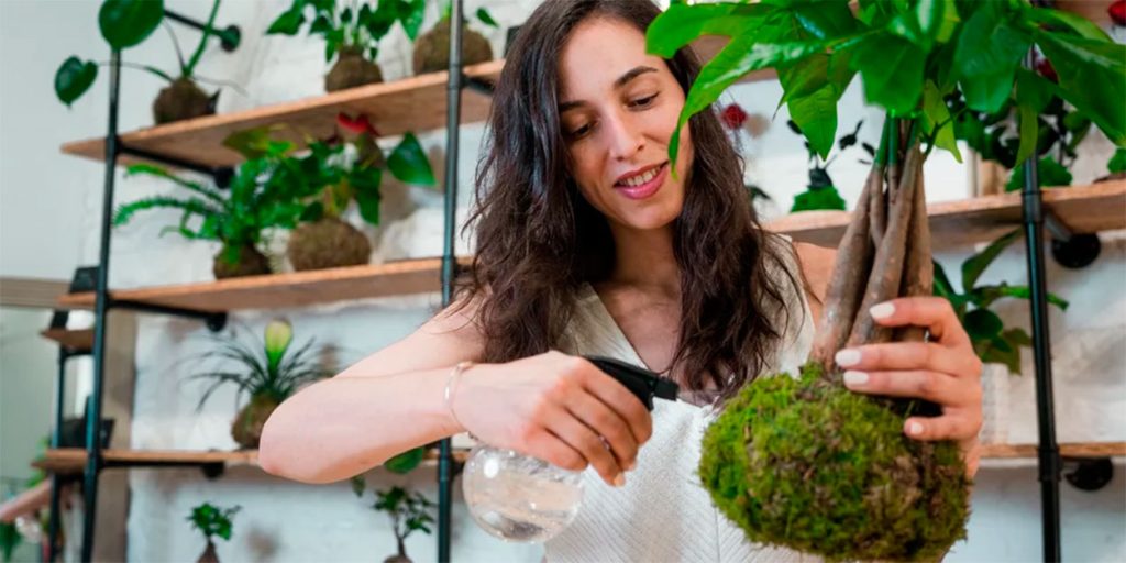 regando kokedama