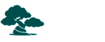 Bonsái Urbano