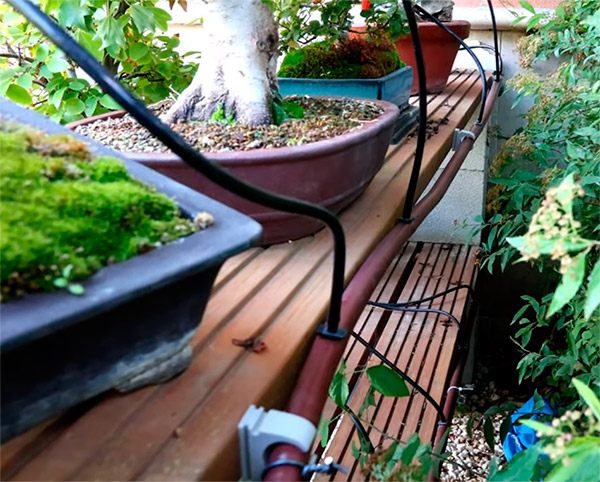 Parte del sistema de riego automatico de bonsáis