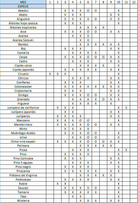 Tabla de fechas trasplante bonsais