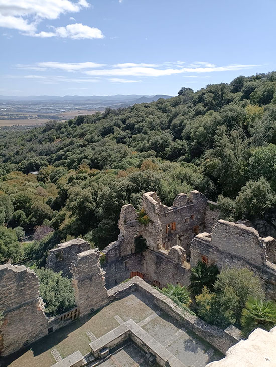 Vista desde alto ruinas del Jardín Botánico Santa Catalina