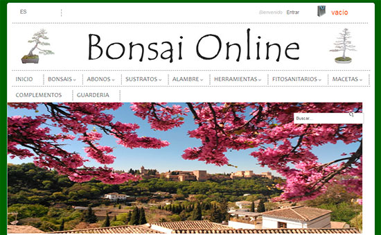 Web Bonsai Online